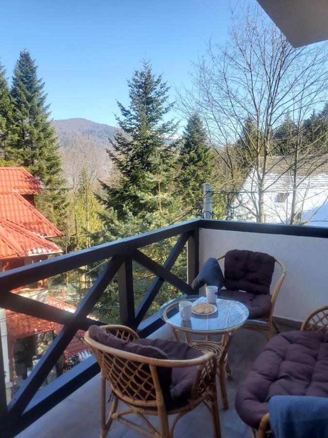 Casa Larisa - Wolves Apartment Синая Екстериор снимка