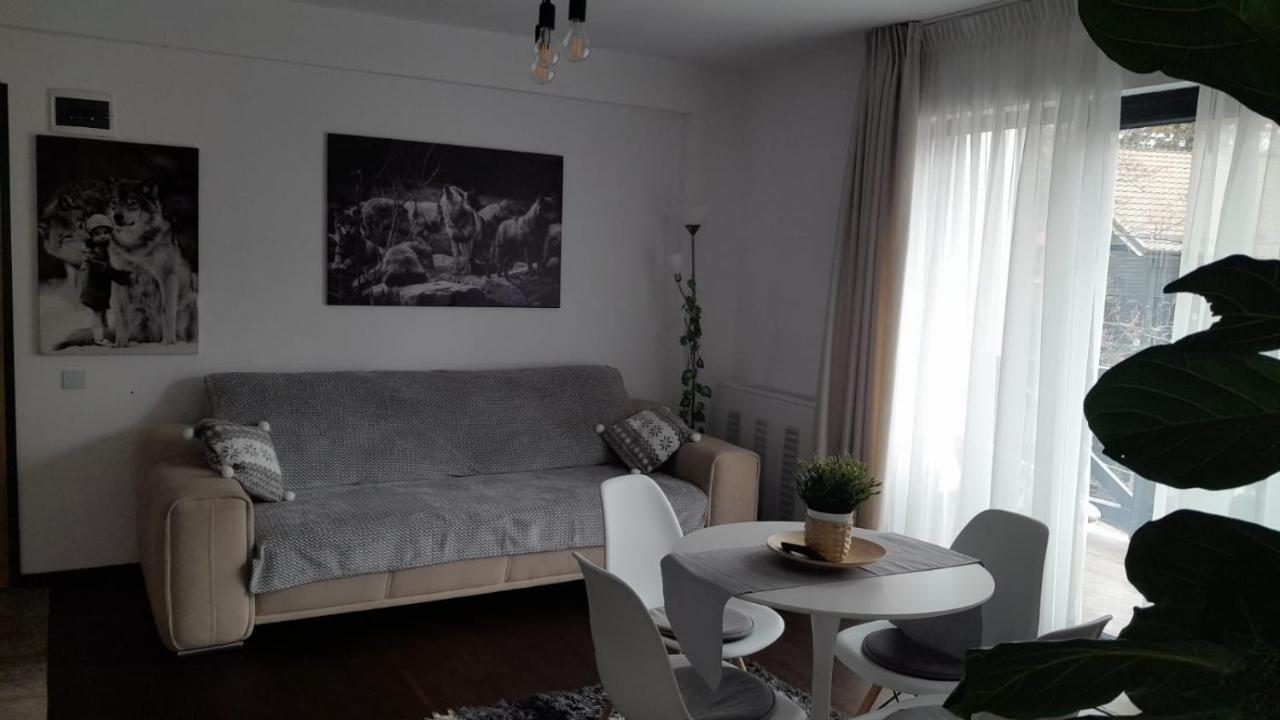 Casa Larisa - Wolves Apartment Синая Екстериор снимка